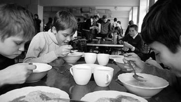 Формирование культуры питания у школьников от интернет магазина Торгового Дома Абрис